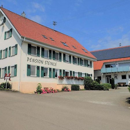 Pension Steinle Erbach an der Danau Extérieur photo