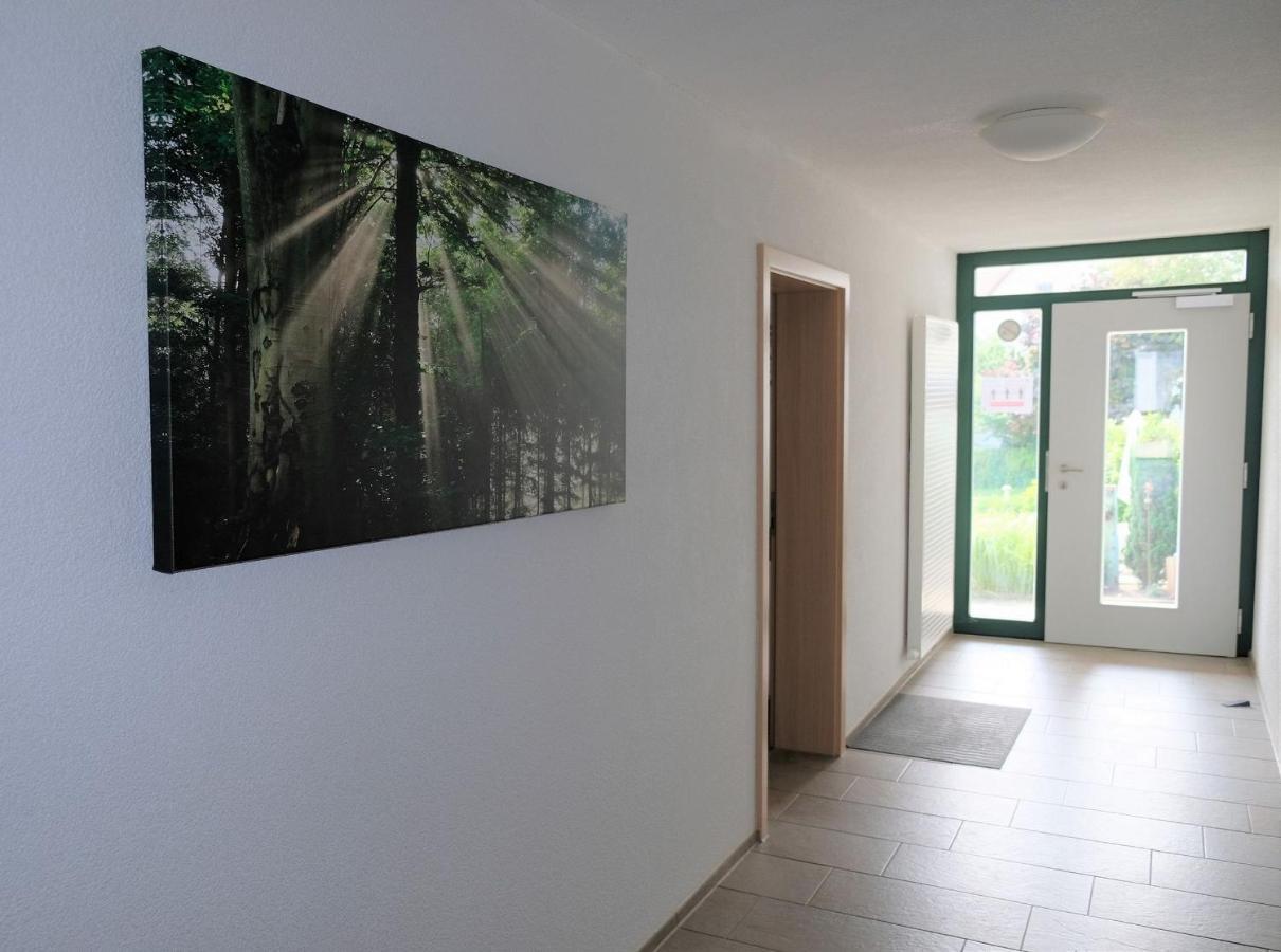 Pension Steinle Erbach an der Danau Extérieur photo
