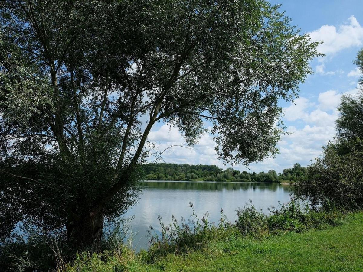 Pension Steinle Erbach an der Danau Extérieur photo